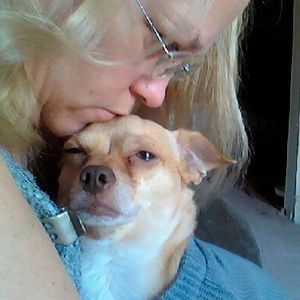 Meet your Posher, Annette